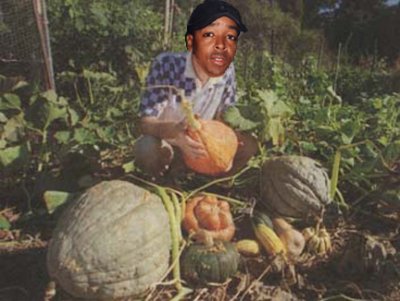 gardenerwebb.jpg