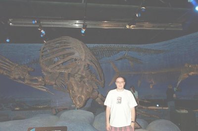 Archelon (giant sea turtle) fossil.jpg