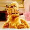 Alf