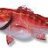 Redsnapper