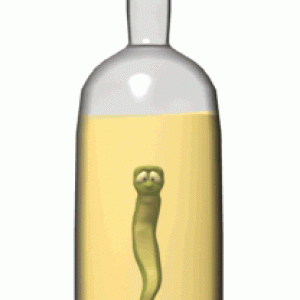 tequila bottle with worm