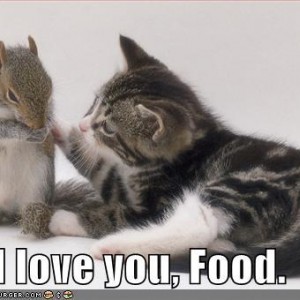 funny pictures cat loves food