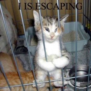 I is escaping