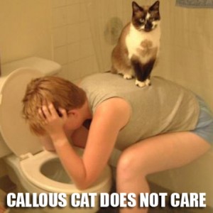 callouscat