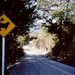 Alabama Street Sign