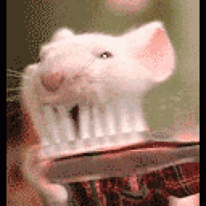 Mouse Brushing teeth